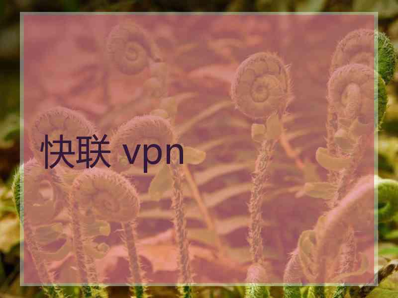 快联 vpn