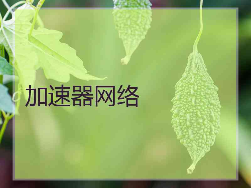 加速器网络