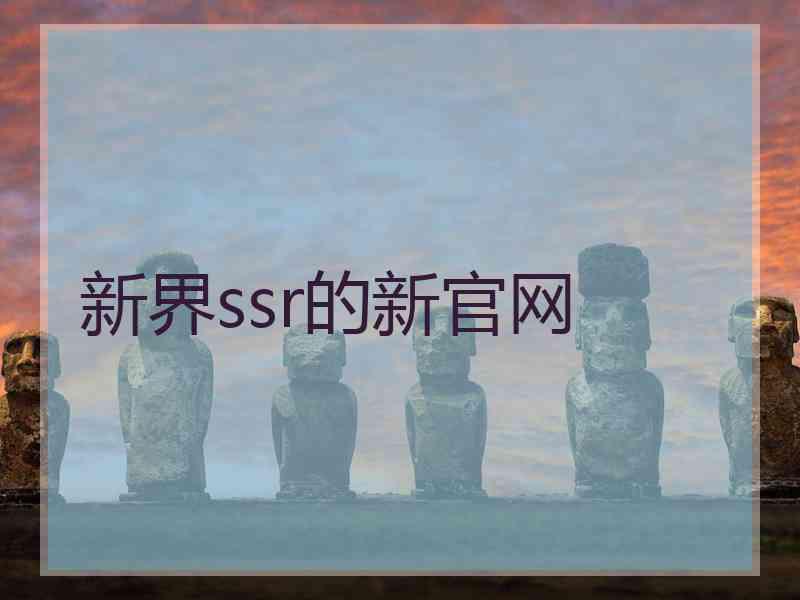 新界ssr的新官网