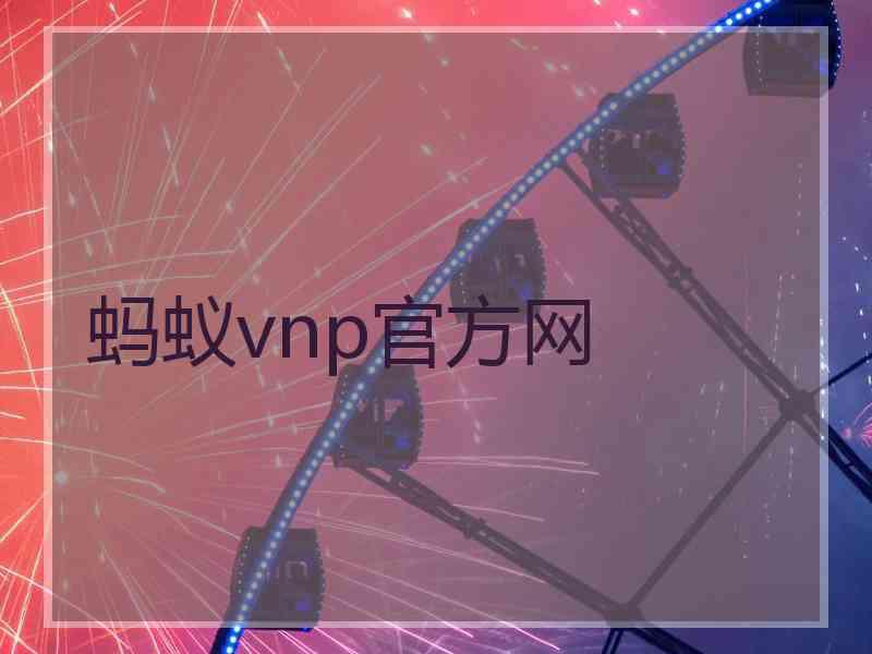 蚂蚁vnp官方网