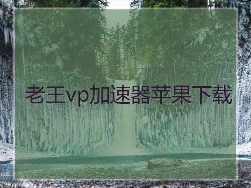 老王vp加速器苹果下载