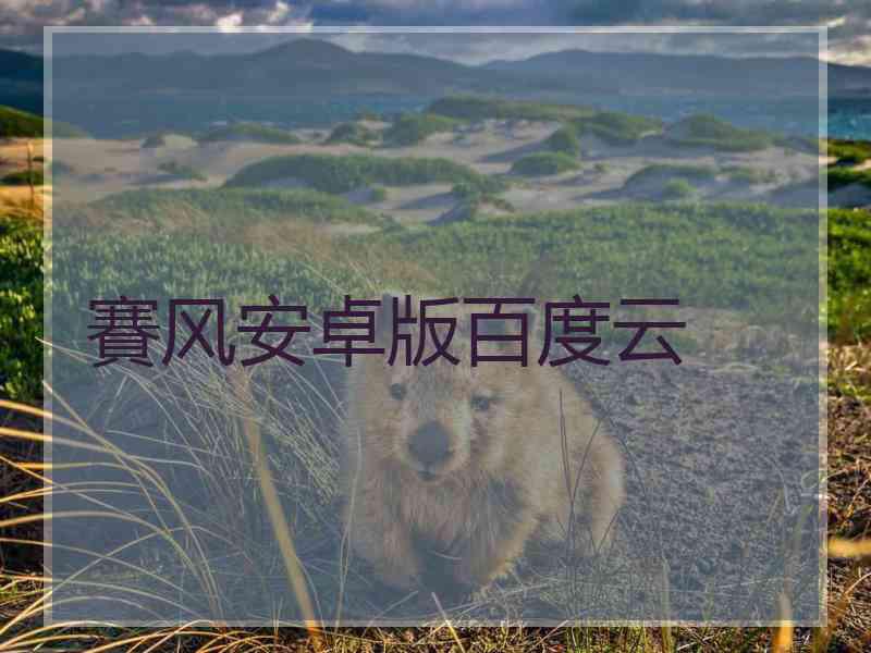 賽风安卓版百度云