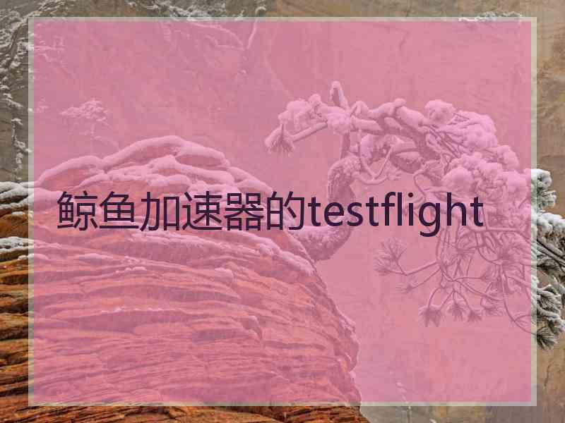 鲸鱼加速器的testflight