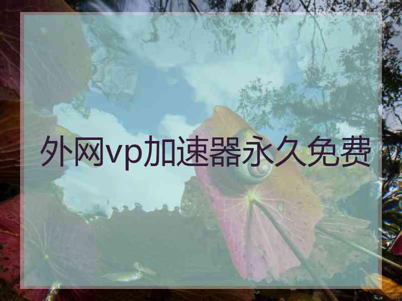 外网vp加速器永久免费