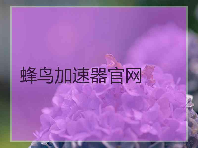 蜂鸟加速器官网