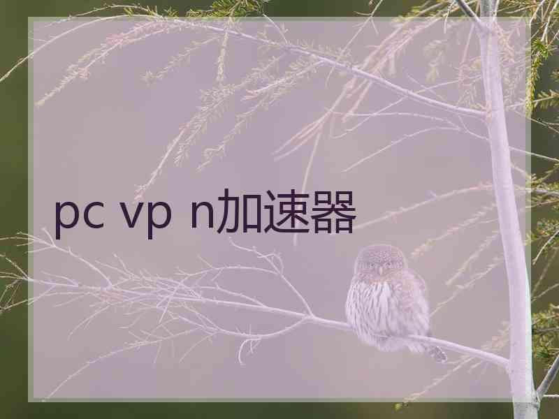 pc vp n加速器