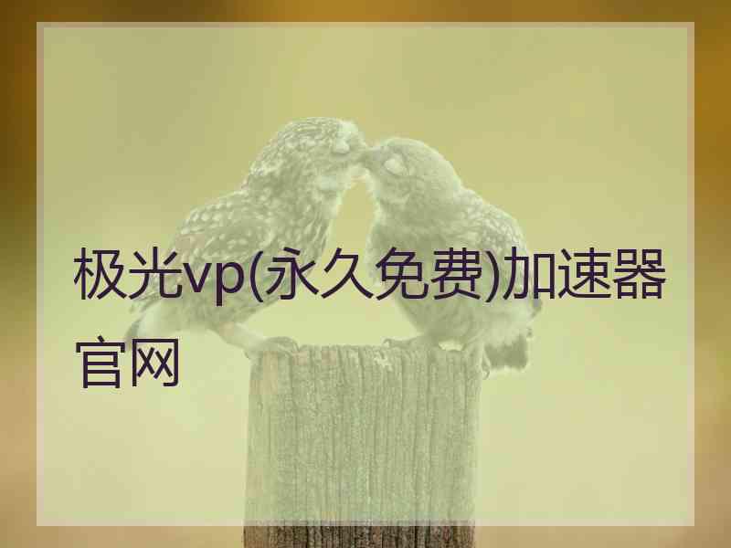 极光vp(永久免费)加速器官网