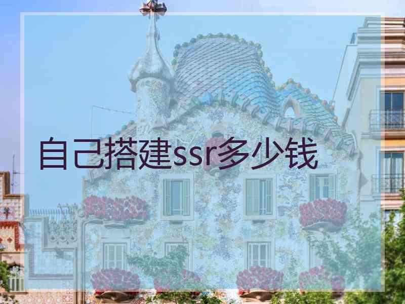 自己搭建ssr多少钱