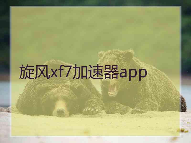 旋风xf7加速器app