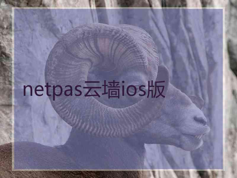 netpas云墙ios版