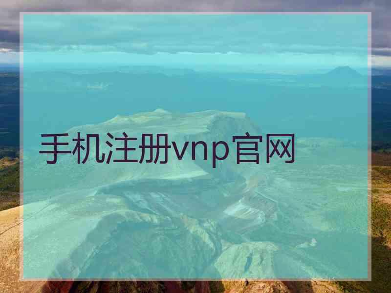 手机注册vnp官网