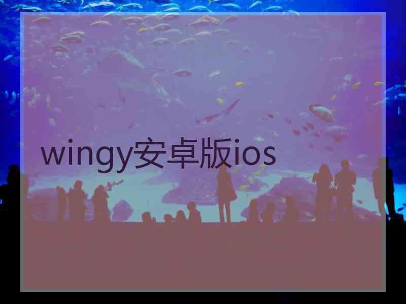 wingy安卓版ios