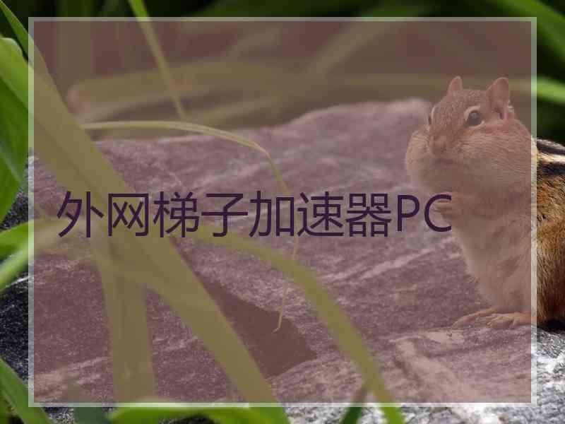 外网梯子加速器PC