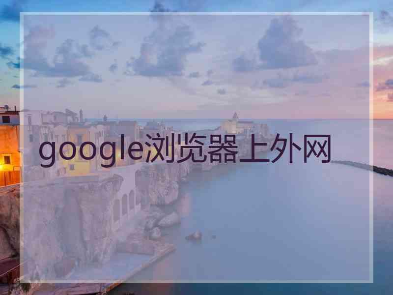 google浏览器上外网