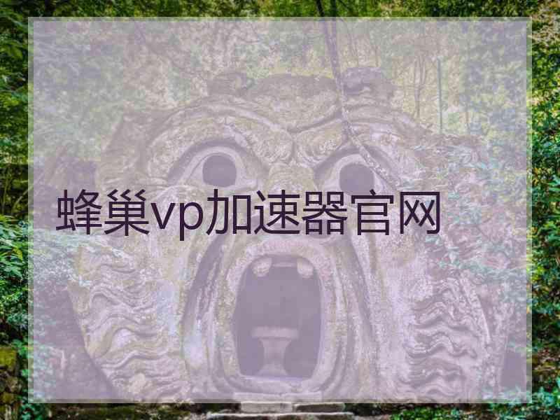 蜂巢vp加速器官网