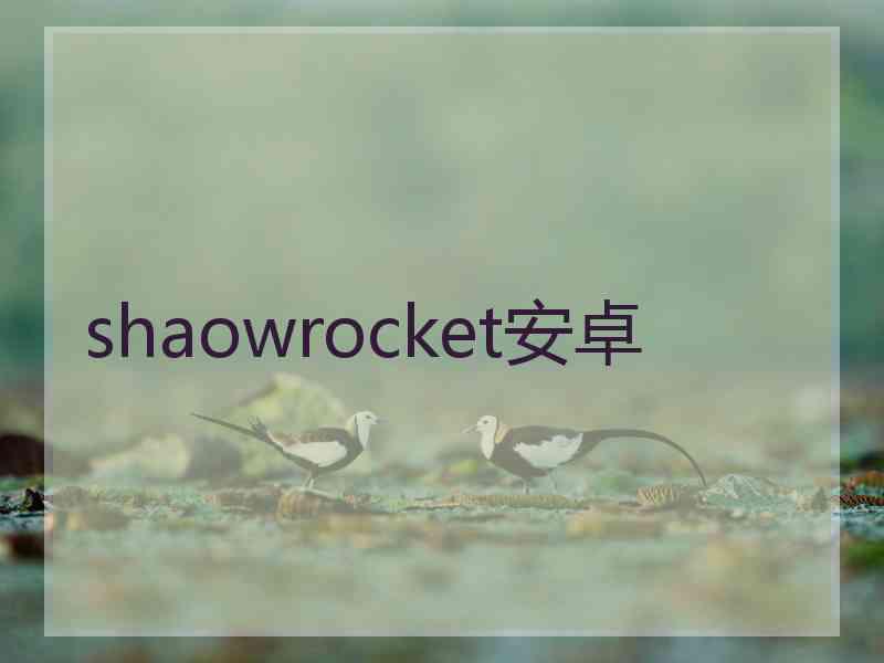 shaowrocket安卓