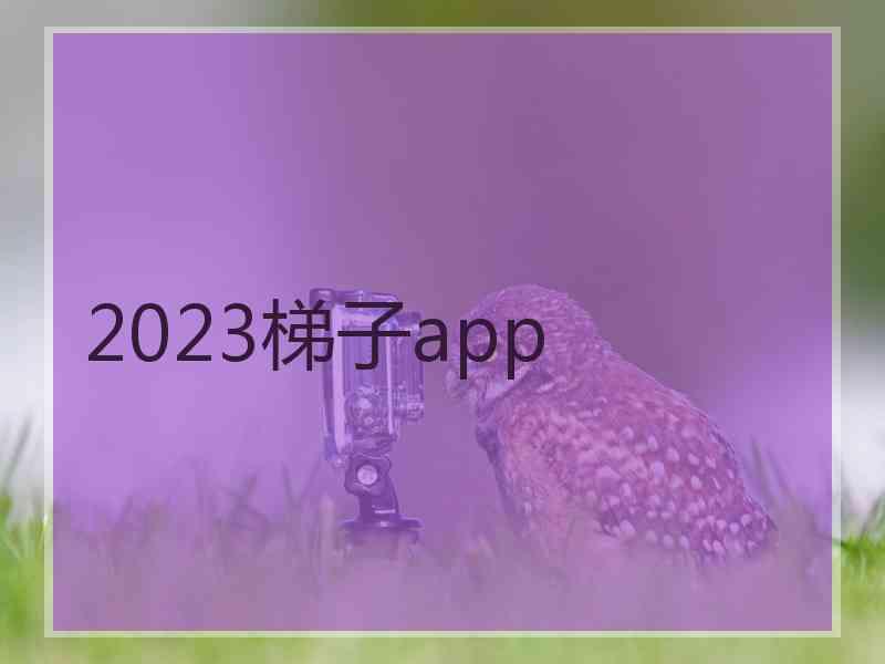 2023梯子app