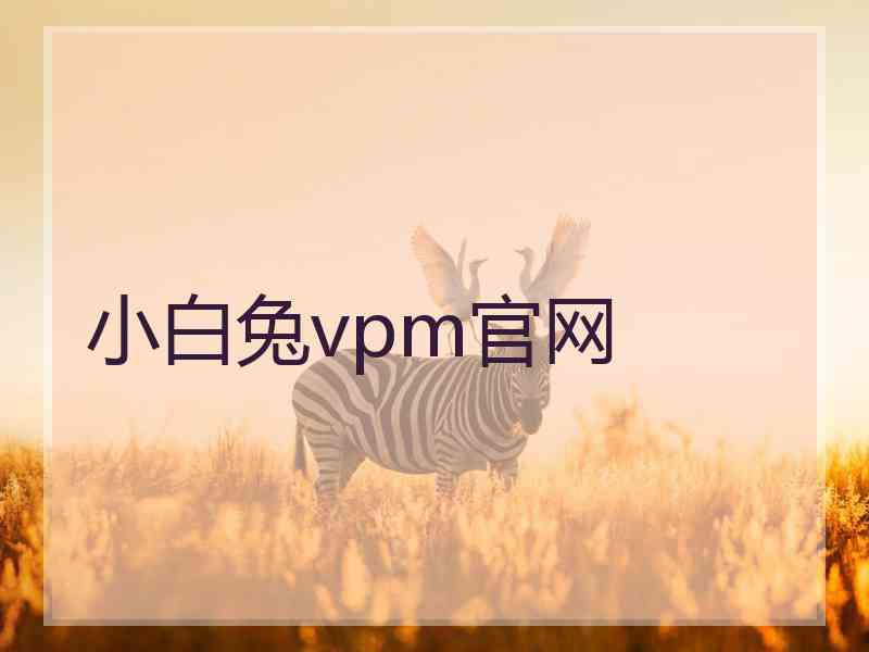 小白兔vpm官网