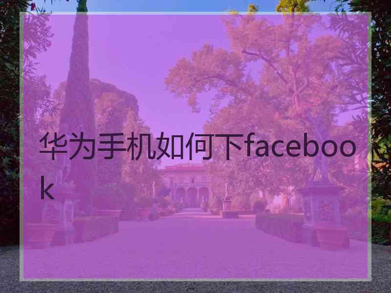 华为手机如何下facebook