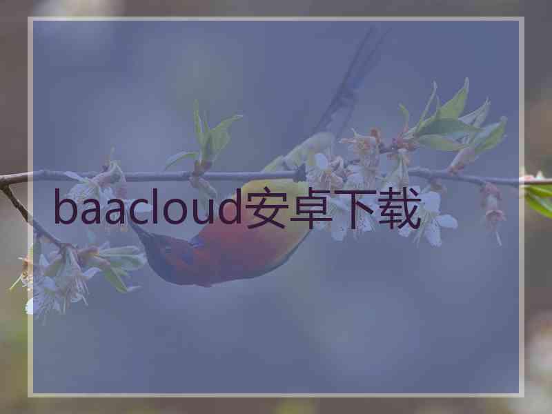 baacloud安卓下载