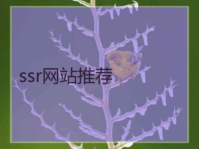 ssr网站推荐