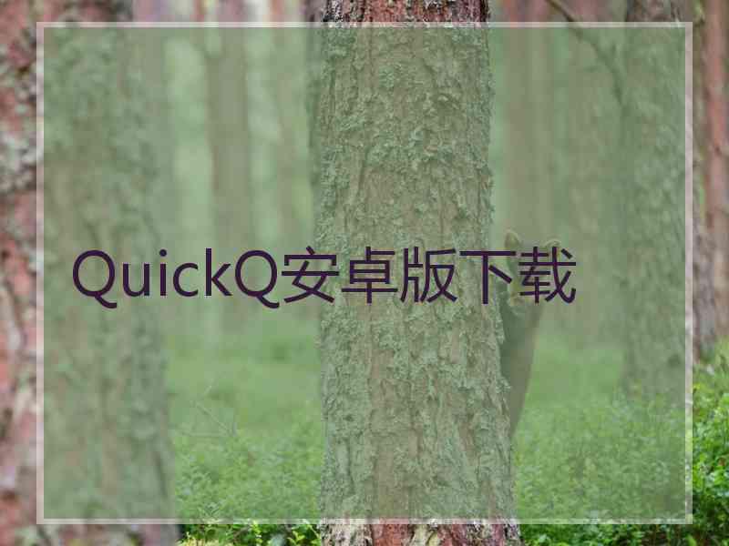 QuickQ安卓版下载