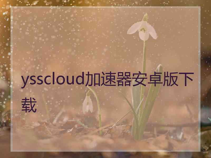 ysscloud加速器安卓版下载