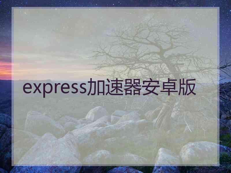 express加速器安卓版