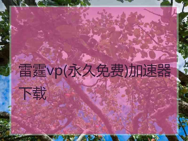 雷霆vp(永久免费)加速器下载