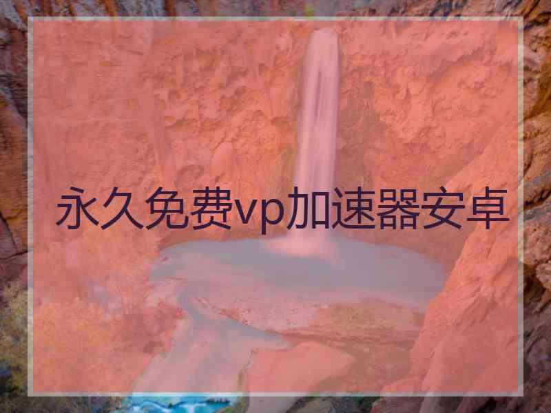 永久免费vp加速器安卓