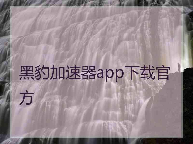 黑豹加速器app下载官方