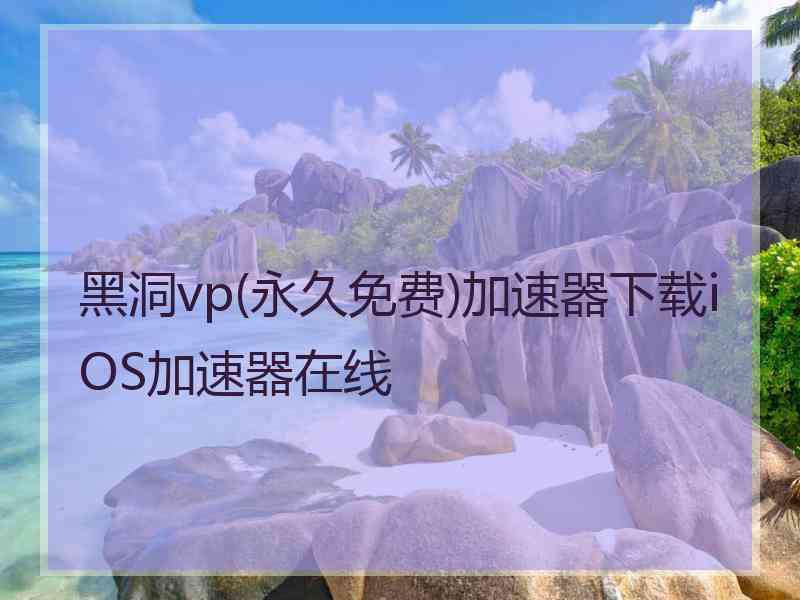 黑洞vp(永久免费)加速器下载iOS加速器在线