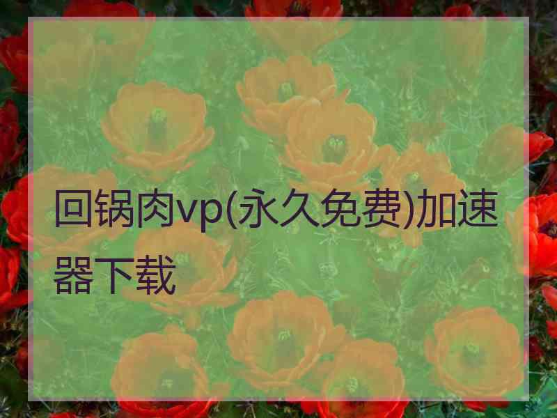 回锅肉vp(永久免费)加速器下载