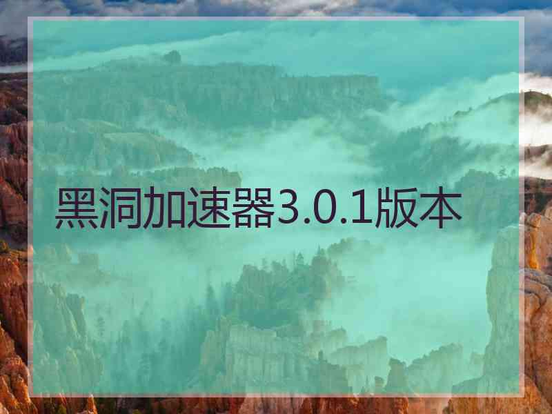 黑洞加速器3.0.1版本