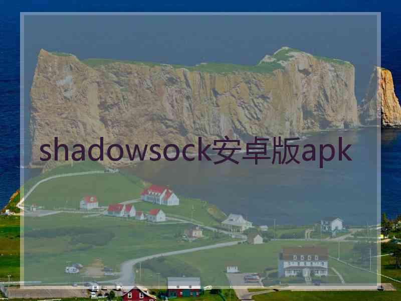 shadowsock安卓版apk