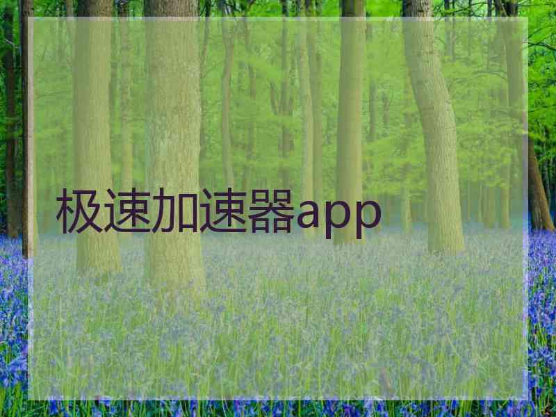 极速加速器app