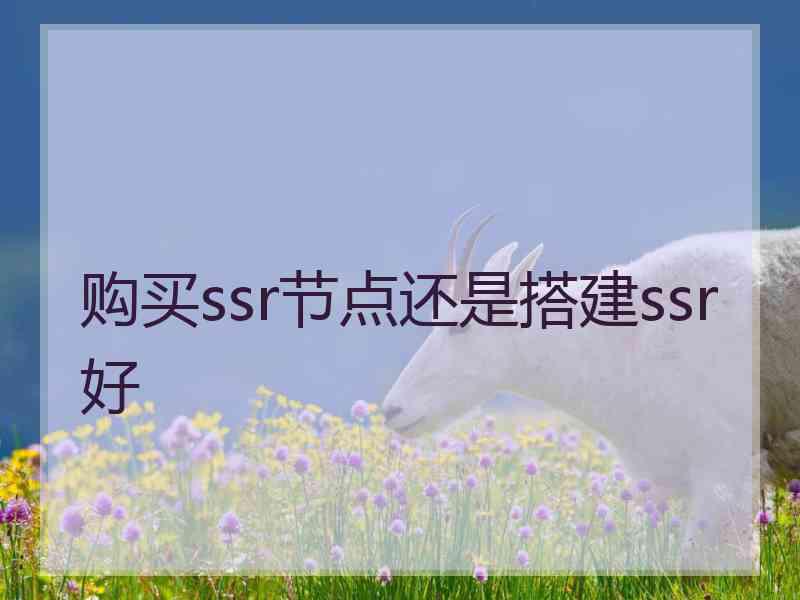 购买ssr节点还是搭建ssr好