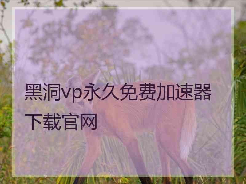 黑洞vp永久免费加速器下载官网