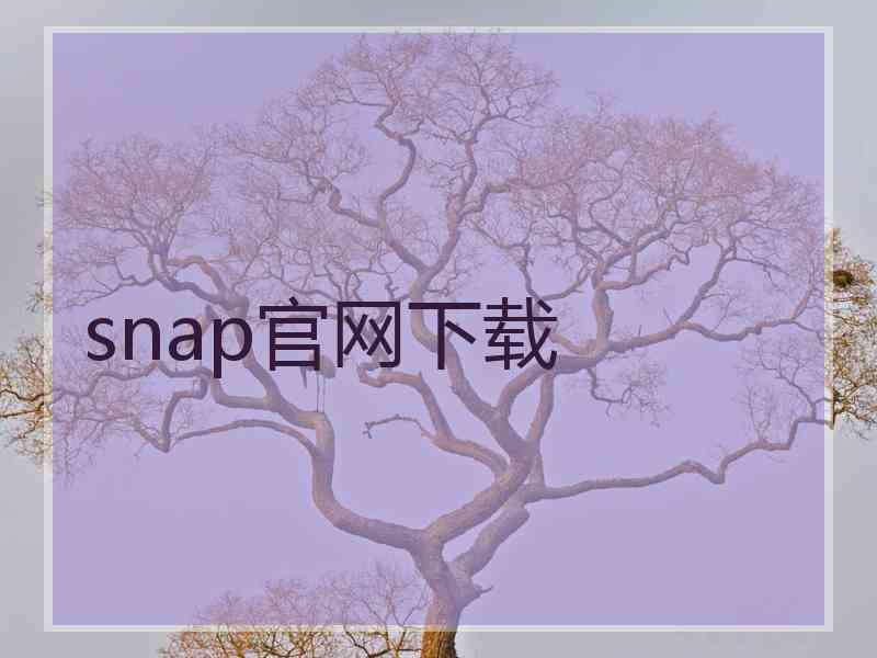 snap官网下载