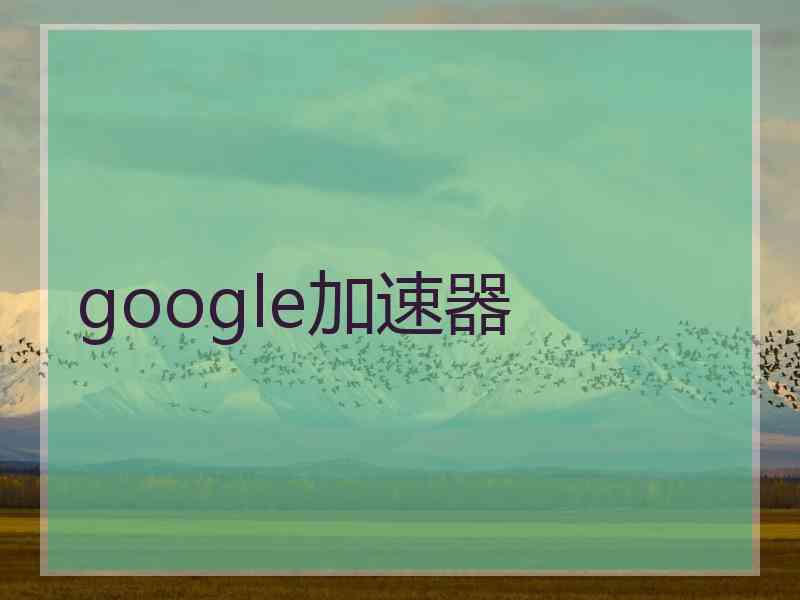 google加速器