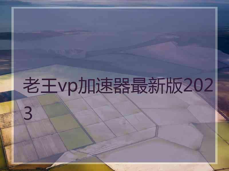 老王vp加速器最新版2023