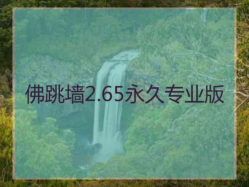 佛跳墙2.65永久专业版