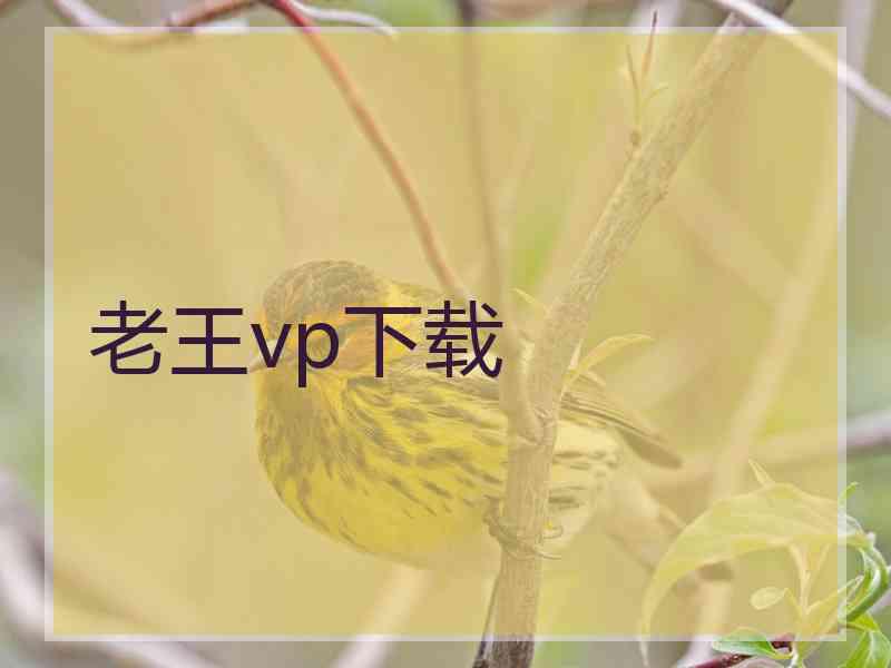 老王vp下载