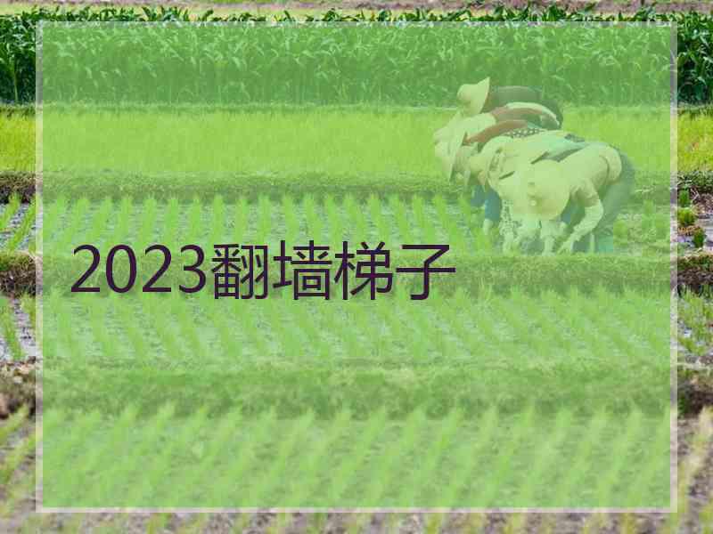 2023翻墙梯子