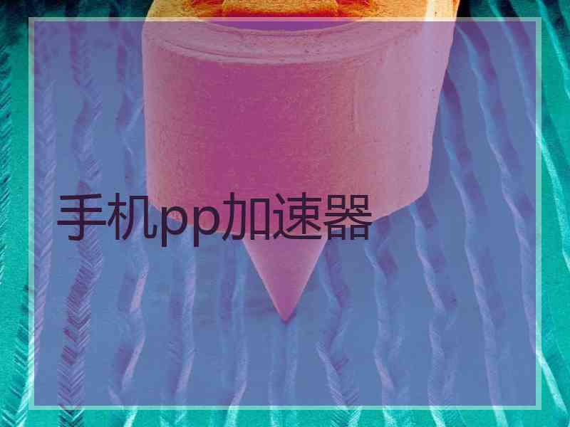 手机pp加速器