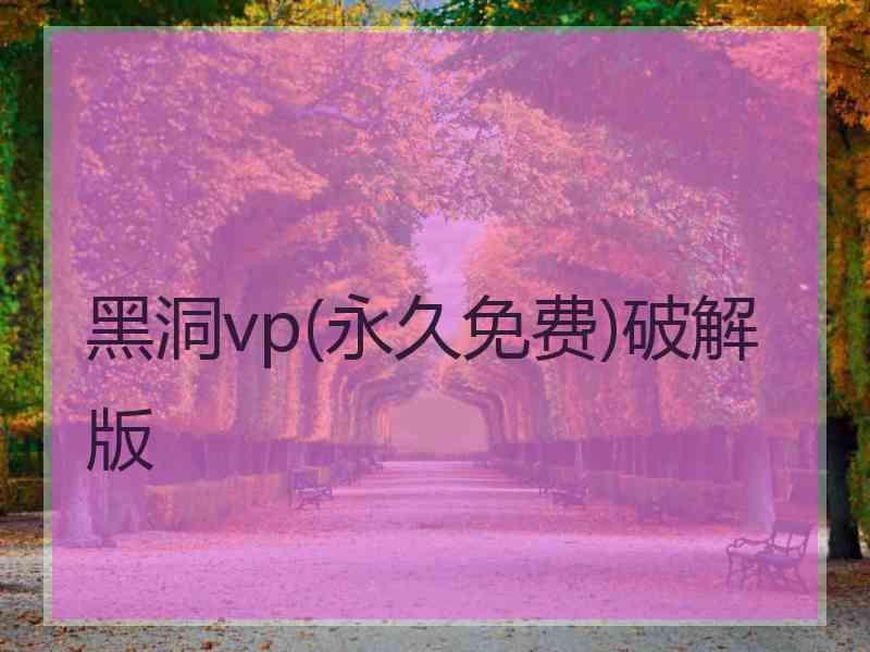 黑洞vp(永久免费)破解版