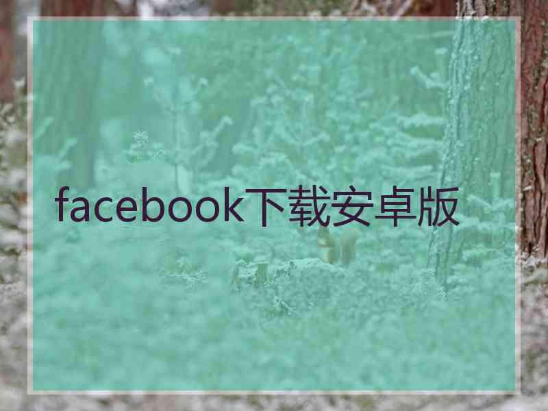 facebook下载安卓版