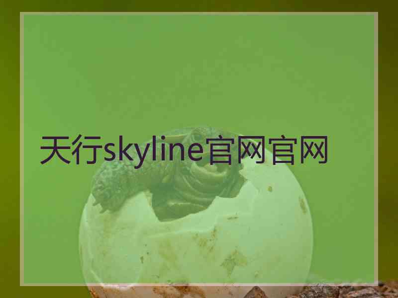 天行skyline官网官网