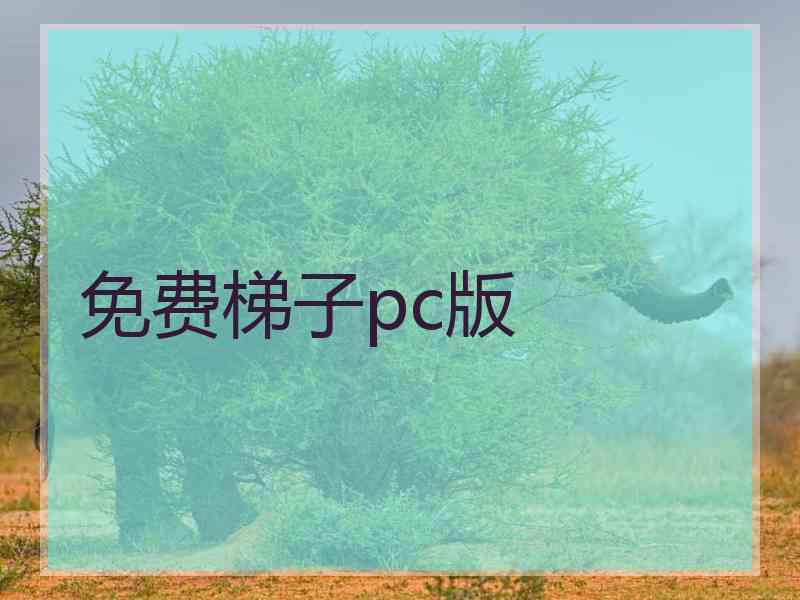 免费梯子pc版