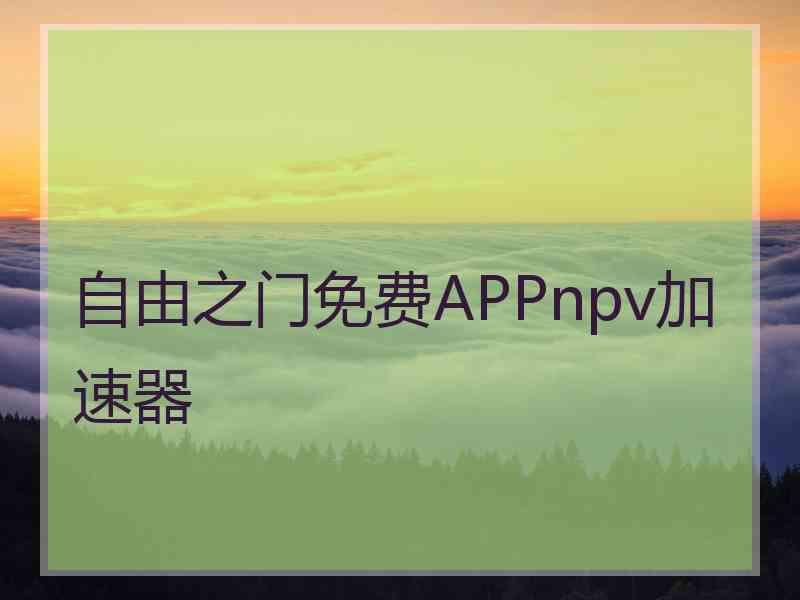 自由之门免费APPnpv加速器